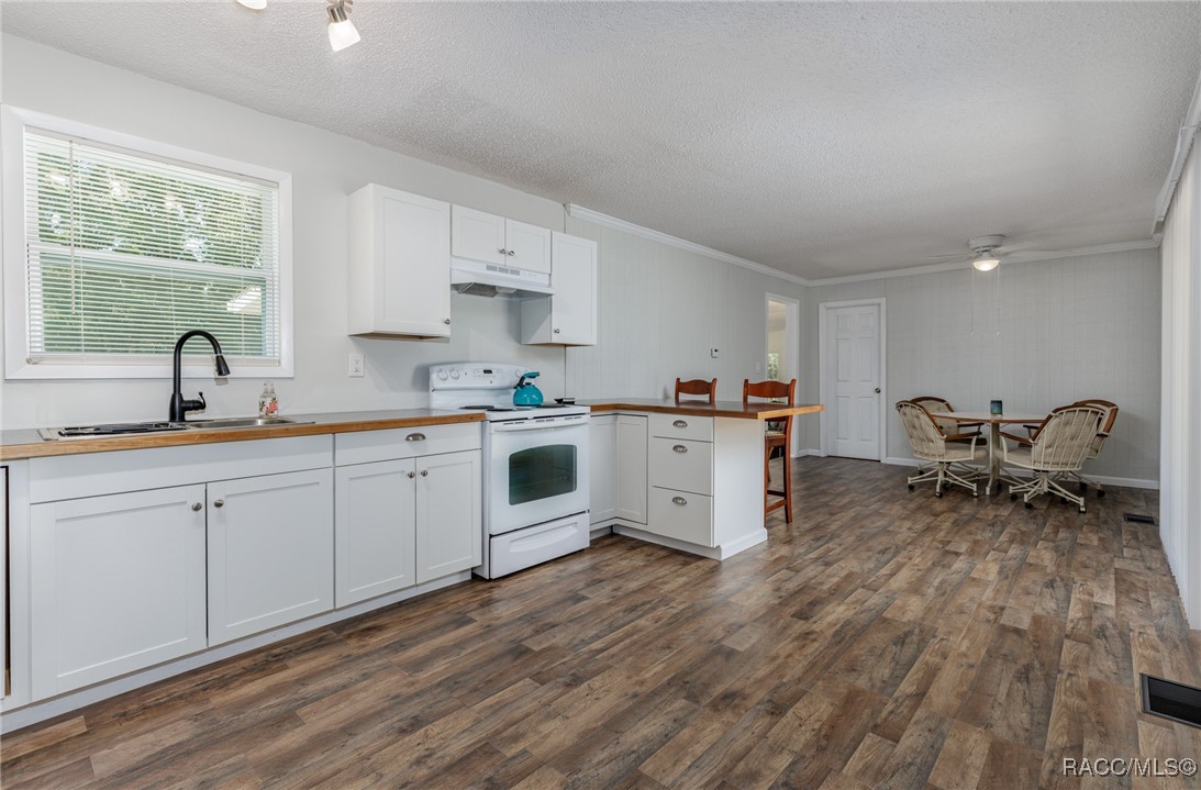 1500 W Jackson Hill Court, Lecanto, Florida image 2