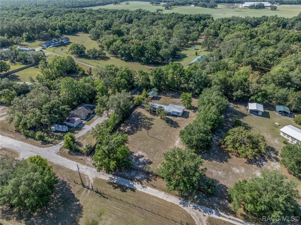 1500 W Jackson Hill Court, Lecanto, Florida image 28