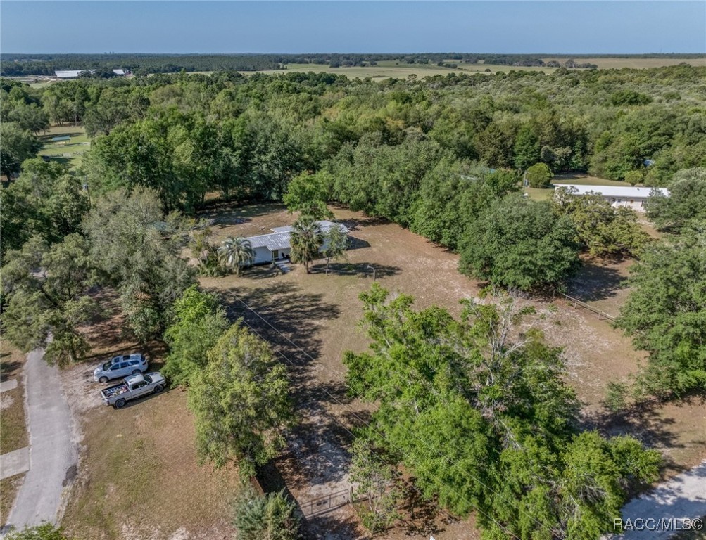 1500 W Jackson Hill Court, Lecanto, Florida image 26