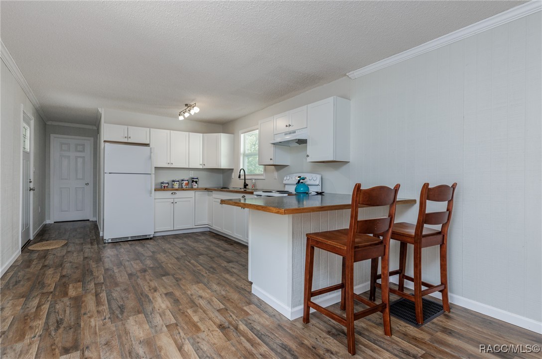 1500 W Jackson Hill Court, Lecanto, Florida image 4