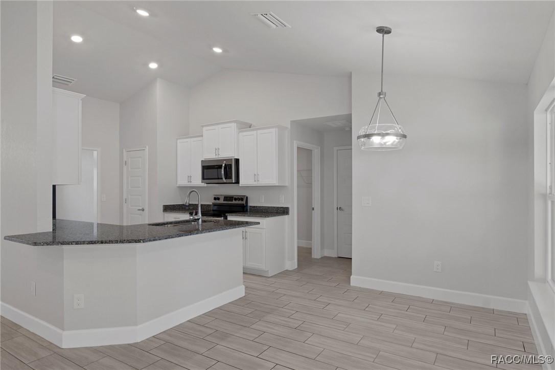 3256 W Brazilnut Road, Beverly Hills, Florida image 15