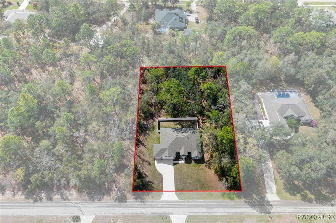 3256 W Brazilnut Road, Beverly Hills, Florida image 4