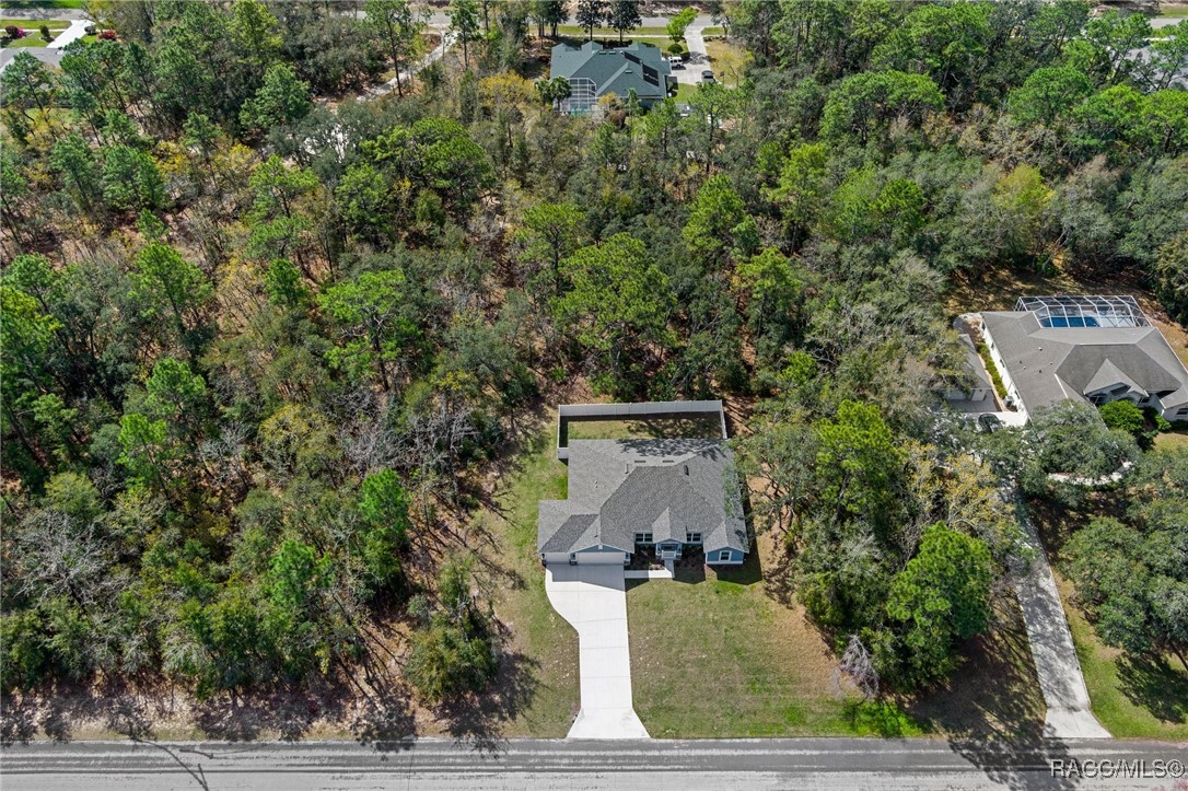 3256 W Brazilnut Road, Beverly Hills, Florida image 3