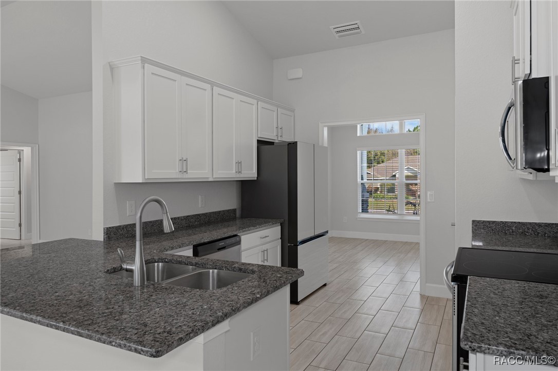 3256 W Brazilnut Road, Beverly Hills, Florida image 20