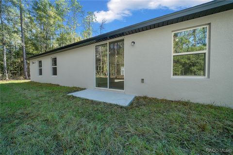 A home in Citrus Springs