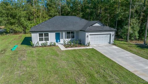 A home in Citrus Springs