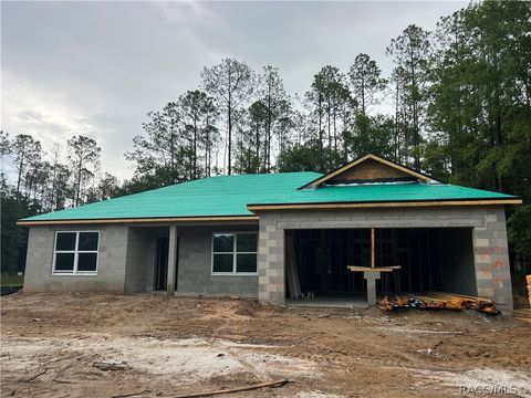 A home in Citrus Springs