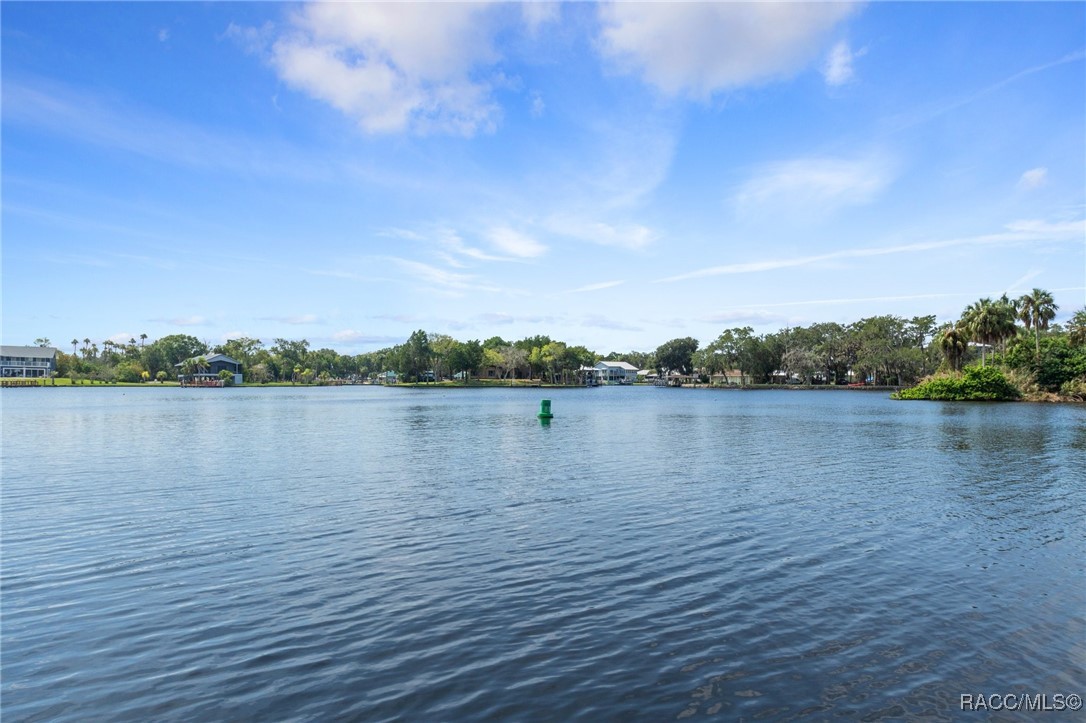 5248 S Riverview Circle, Homosassa, New York image 46