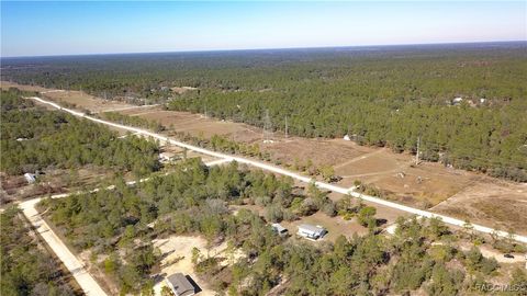 A home in Dunnellon