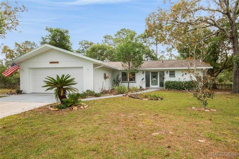 A home in Homosassa