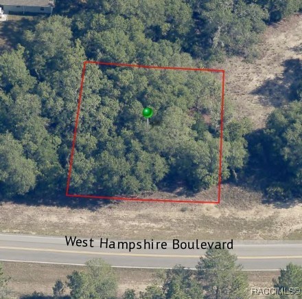 2295 W Hampshire Boulevard, Citrus Springs, New York image 4