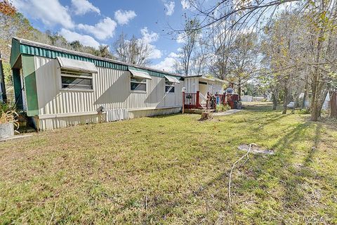 A home in Hernando