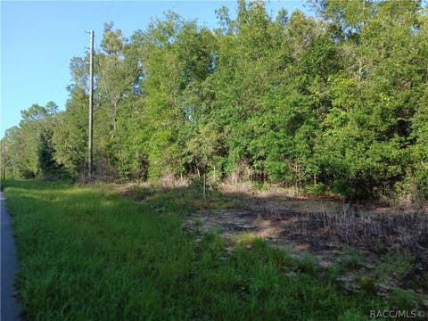 Vacant Land For Sale - 10762 N Academy Drive<br/> Citrus County, Citrus Springs, FL 34434