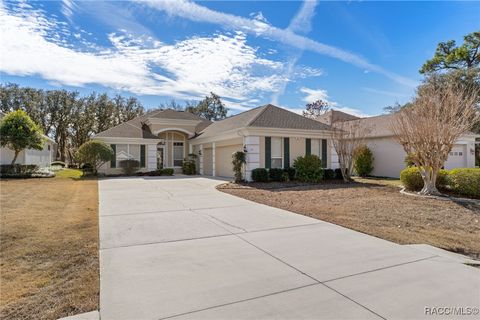 Homes For Sale - 40 Deerwood Drive<br/> Homosassa, FL 34446