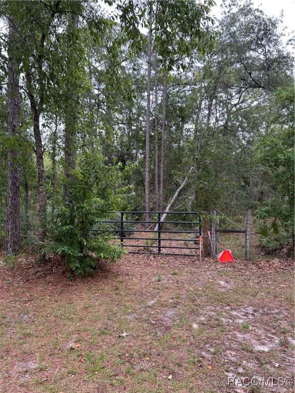 S Slash Pine Avenue, Homosassa, New York image 4