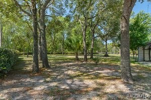 4459 S Slash Pine Avenue #195, Homosassa, New York image 12
