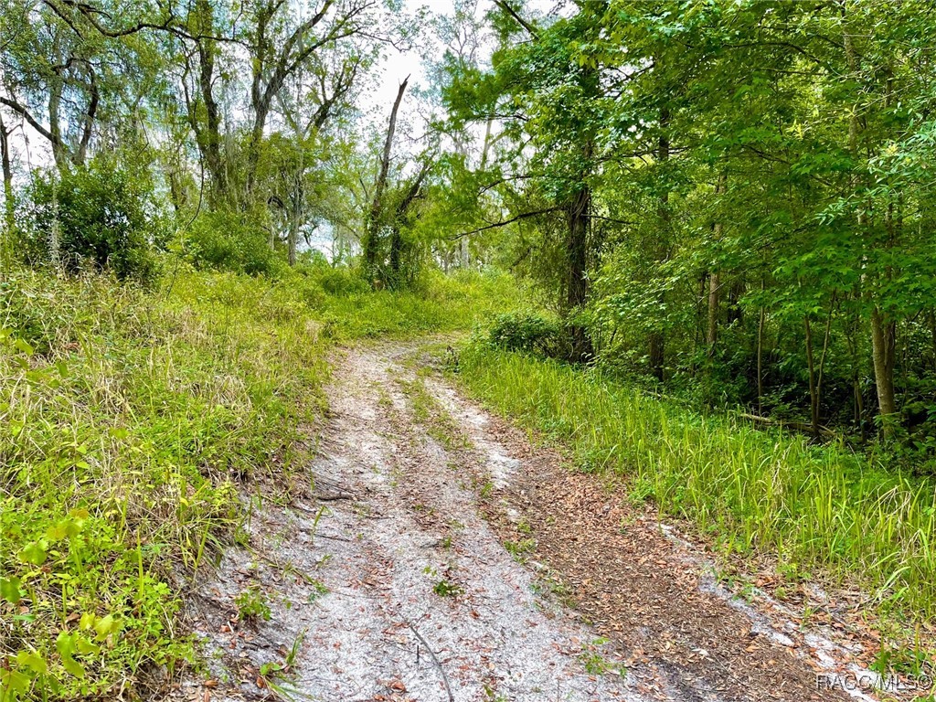 TBD Cortez Boulevard, Dade City, New York image 7