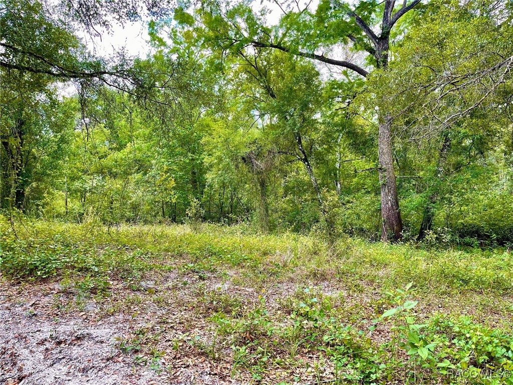 TBD Cortez Boulevard, Dade City, New York image 1