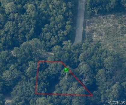 9542 W Sandra Street, Crystal River, New York image 4