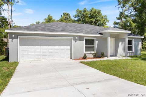 A home in Citrus Springs