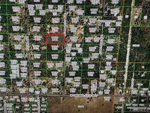 Vacant Land For Sale - 6348 S Canna Lily Avenue<br/> Citrus County, Homosassa, FL 34446