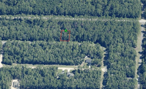 Homes For Sale - 9243 N Patch Drive<br/> Citrus Springs, FL 34434