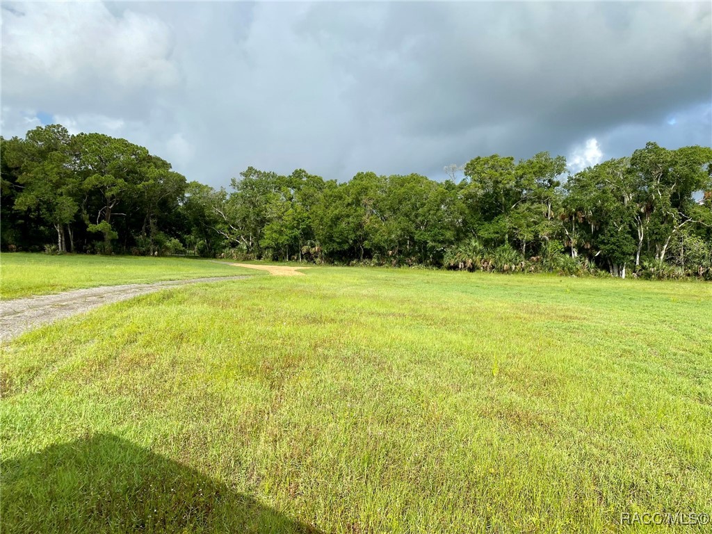 6557 N Bugbee Point, Crystal River, Florida image 7