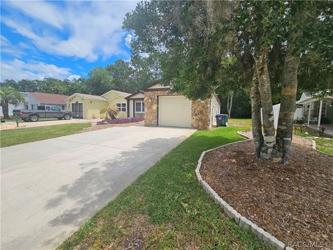 A home in Homosassa