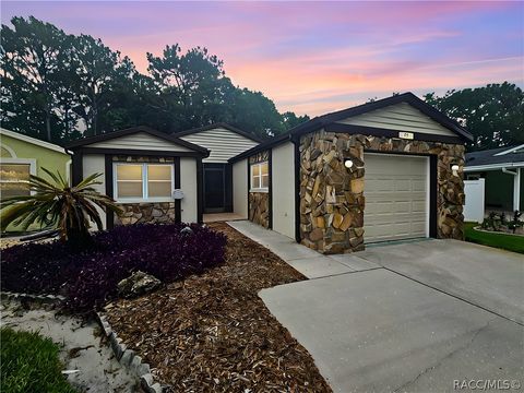 A home in Homosassa