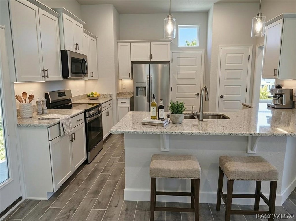 1117 Heron Point Drive