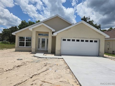 1117 Heron Point Drive Inverness FL 34453