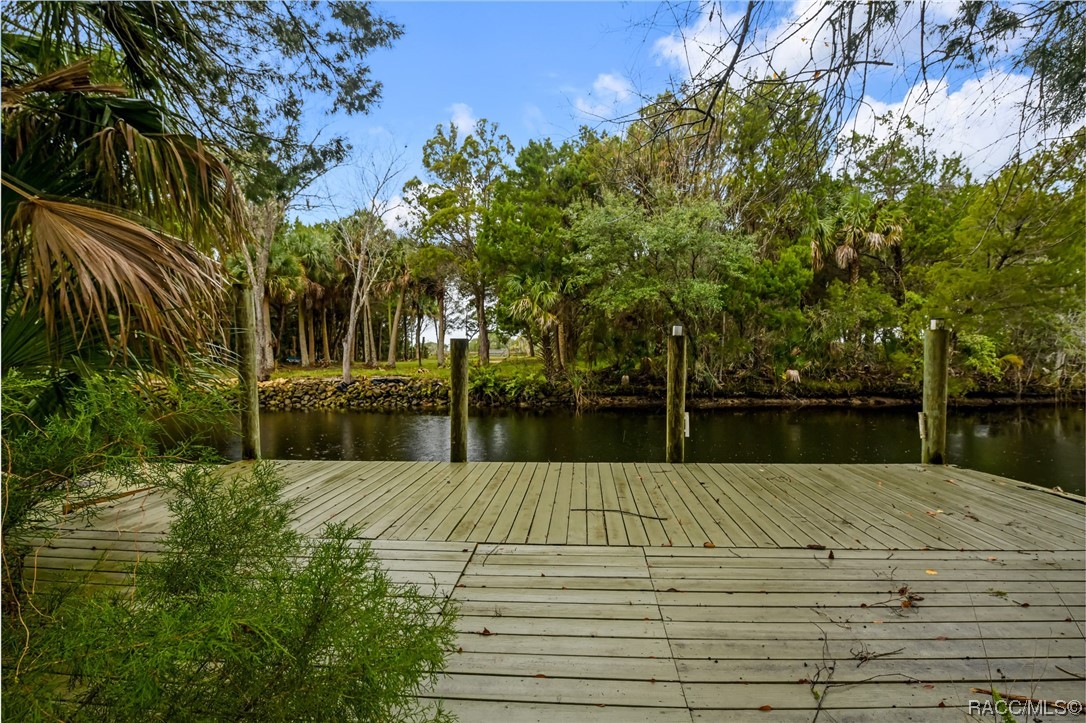 8 Palm Drive, Yankeetown, Florida image 33