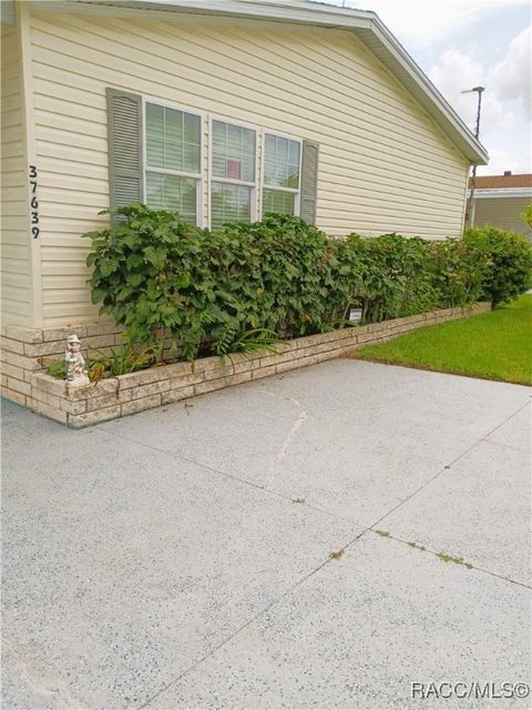 A home in Zephyrhills