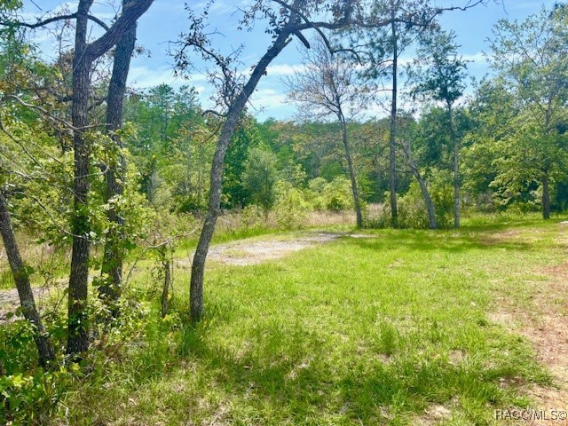 6952 W Barbara Ann Lane, Homosassa, New York image 28