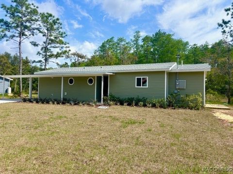 6952 W Barbara Ann Lane Homosassa FL 34446