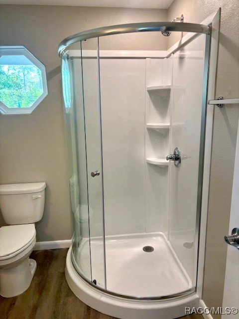 6952 W Barbara Ann Lane, Homosassa, New York image 14