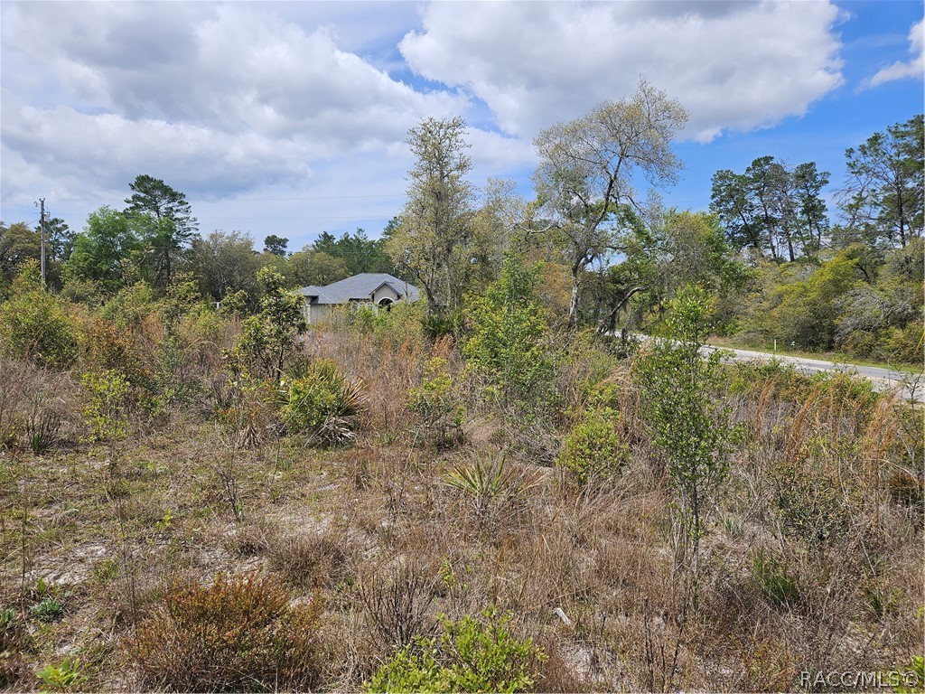 4208 W Vicksburg Drive, Citrus Springs, Florida image 8