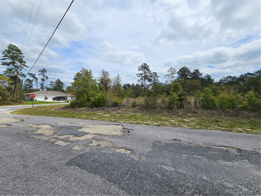 4208 W Vicksburg Drive, Citrus Springs, Florida image 18