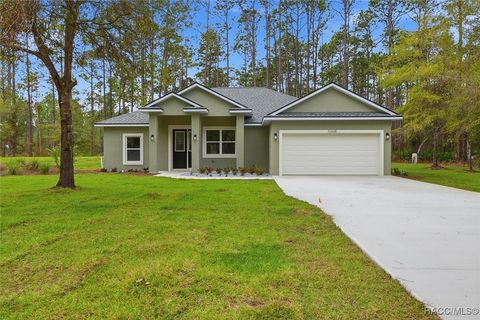 11608 W Dragonhead Drive Crystal River FL 34428
