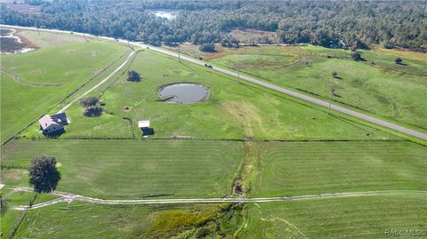 A home in Lake Panasoffkee