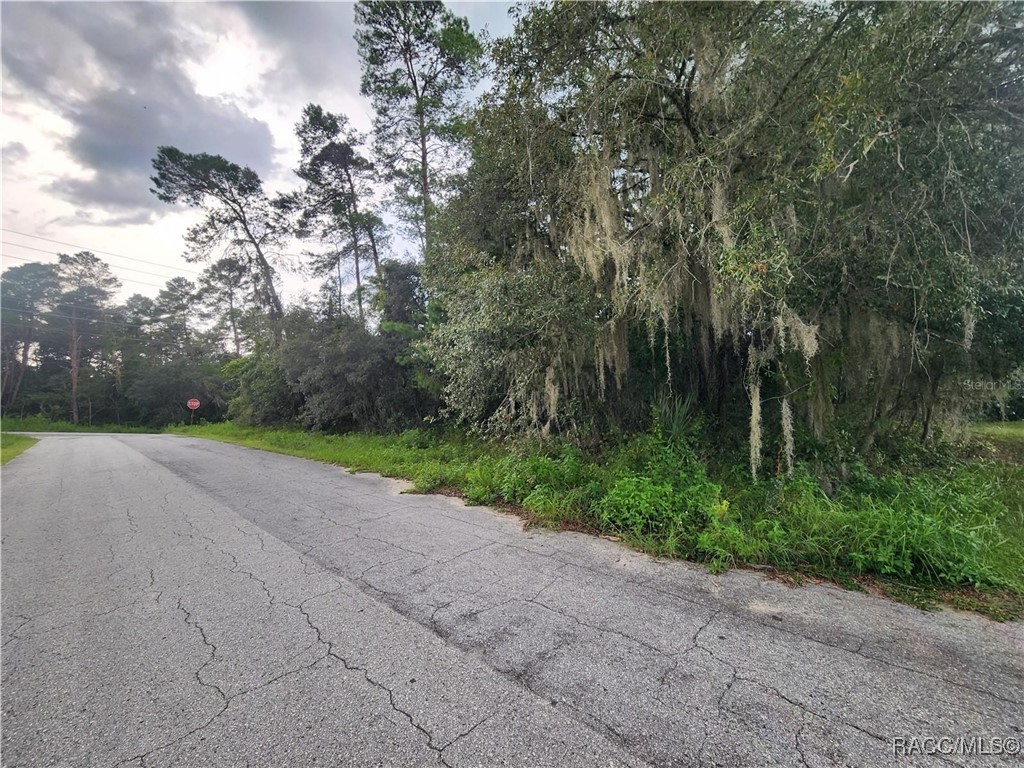 3006 & 3008 Clearwood Street, Inverness, Florida image 4