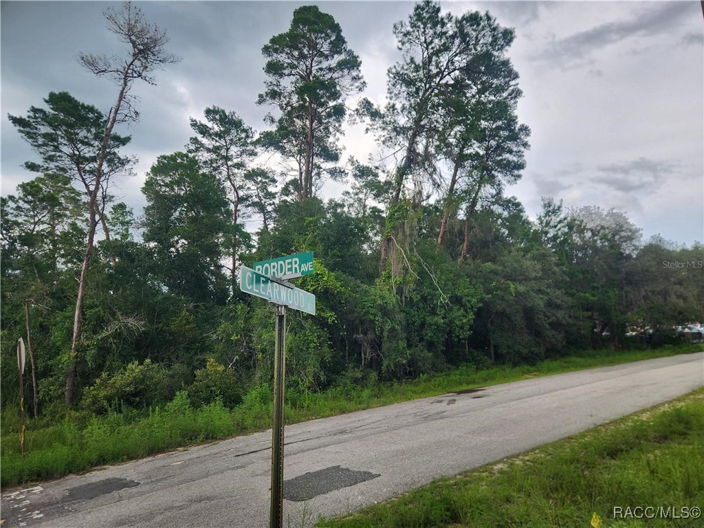 3006 & 3008 Clearwood Street, Inverness, Florida image 14