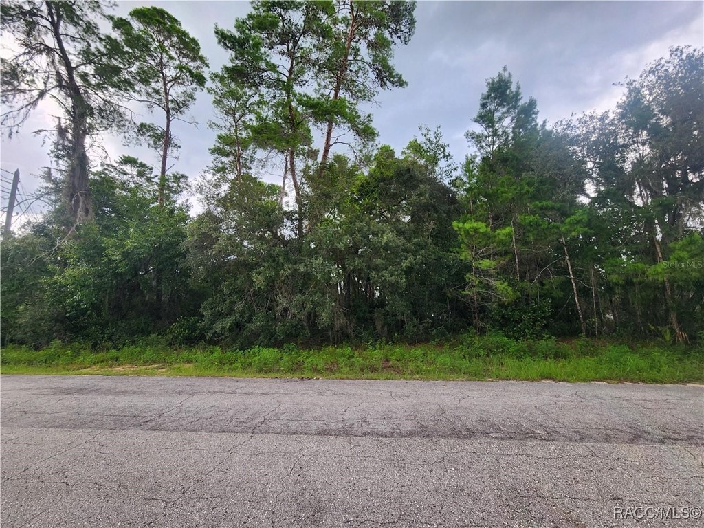 3006 & 3008 Clearwood Street, Inverness, Florida image 6