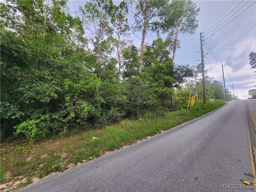 3006 & 3008 Clearwood Street, Inverness, Florida image 2