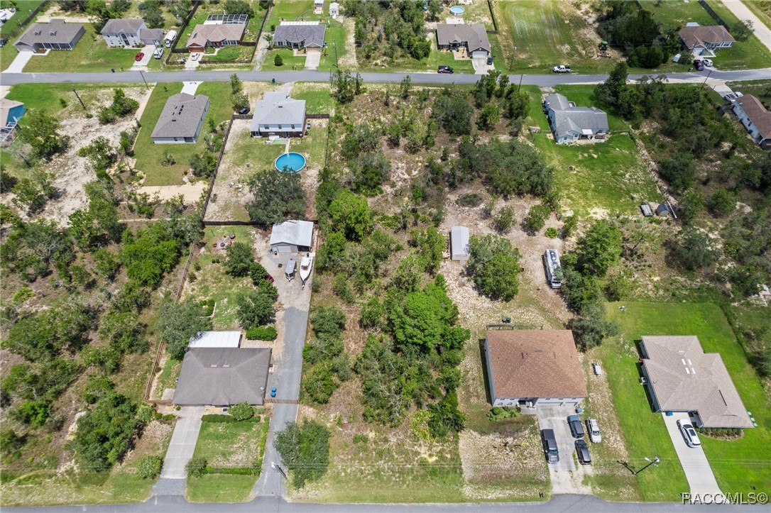 House Finch Road, Weeki Wachee, Florida image 3