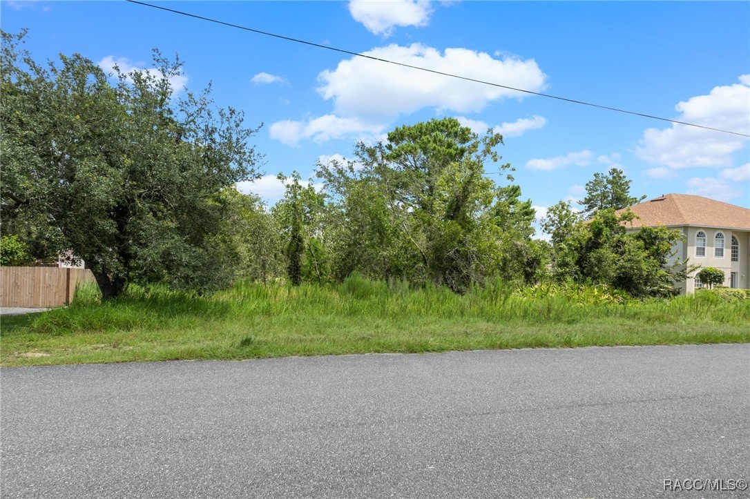 House Finch Road, Weeki Wachee, Florida image 12