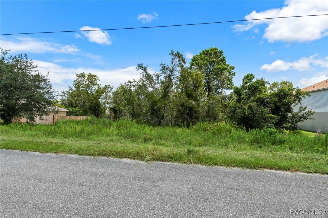 House Finch Road, Weeki Wachee, Florida image 13