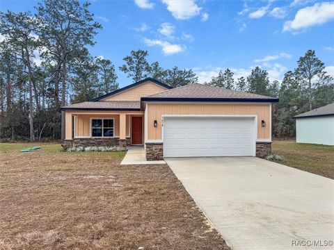 A home in Citrus Springs