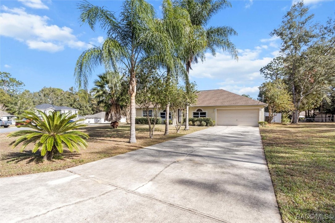 8395 N Triana Drive, Citrus Springs, Florida image 37