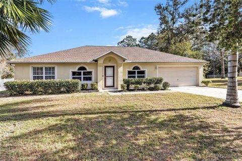 A home in Citrus Springs